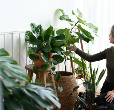 woman-tending-caring